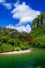 The Pororari River, Paparoa National Park, Punakaiki, New Zealand Art Print